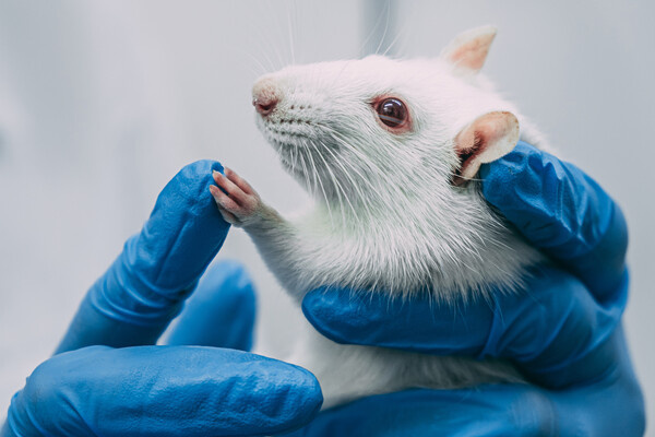 Aleksandr Pobeda/Shutterstock/FOTODOM   📷