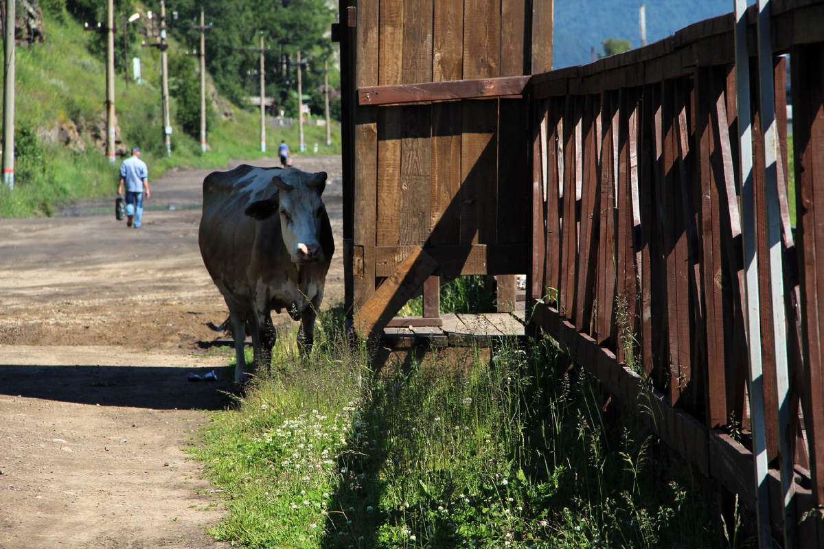 Фото "Иркутск Сегодня"