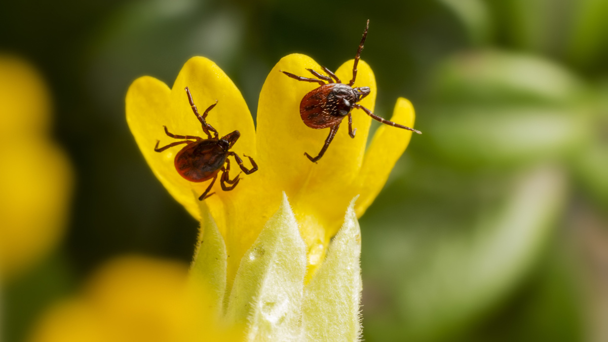    Фото: Freepik.com/@freepik