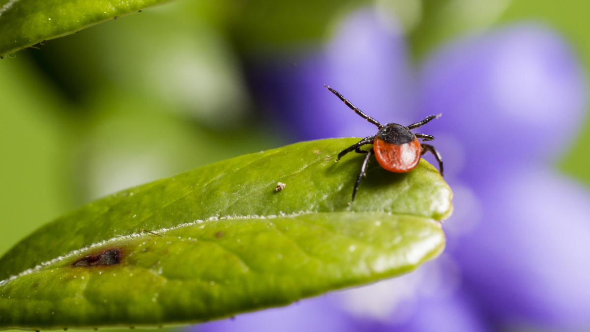    Фото: Freepik.com/@freepik