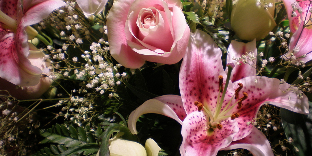 Бег по кругу