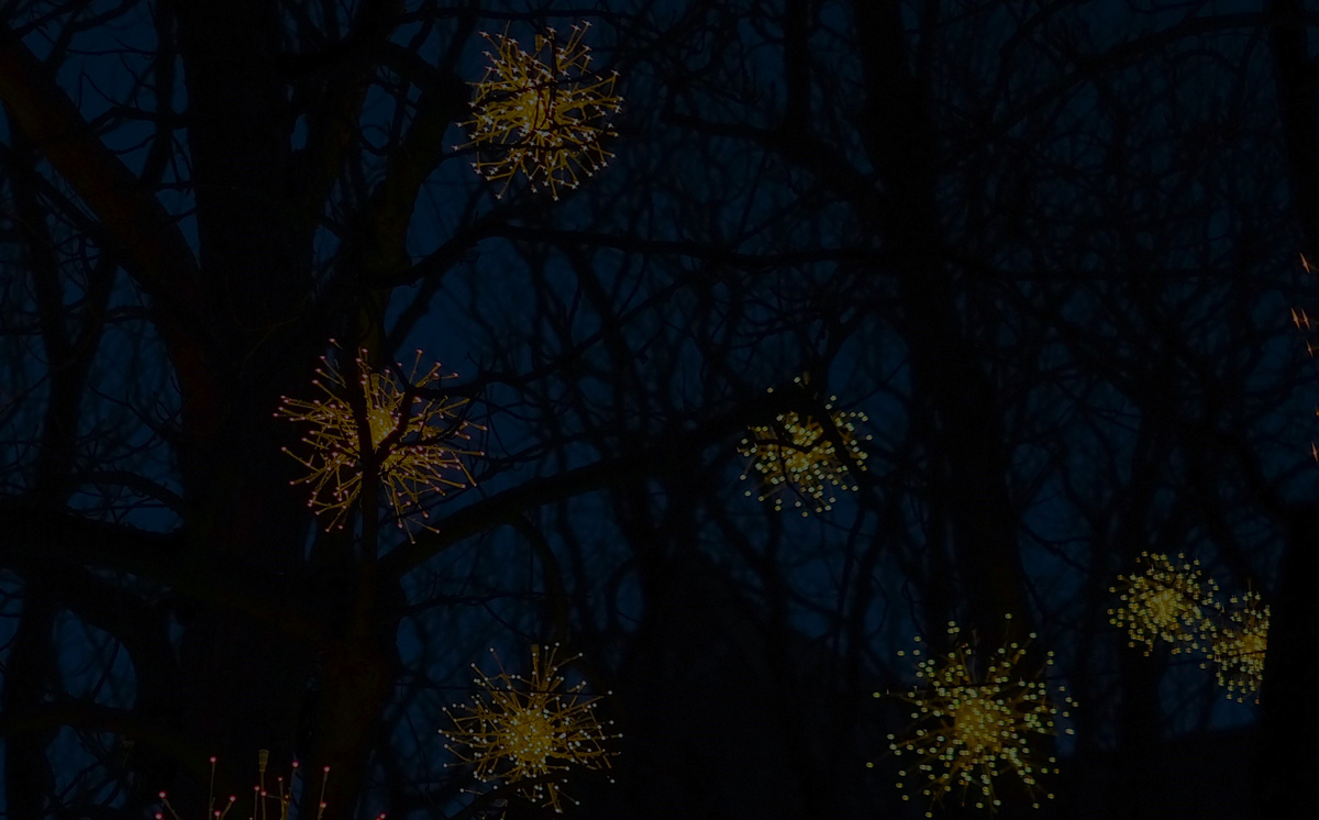 Фото: manu schwendener с сайта unsplash.com