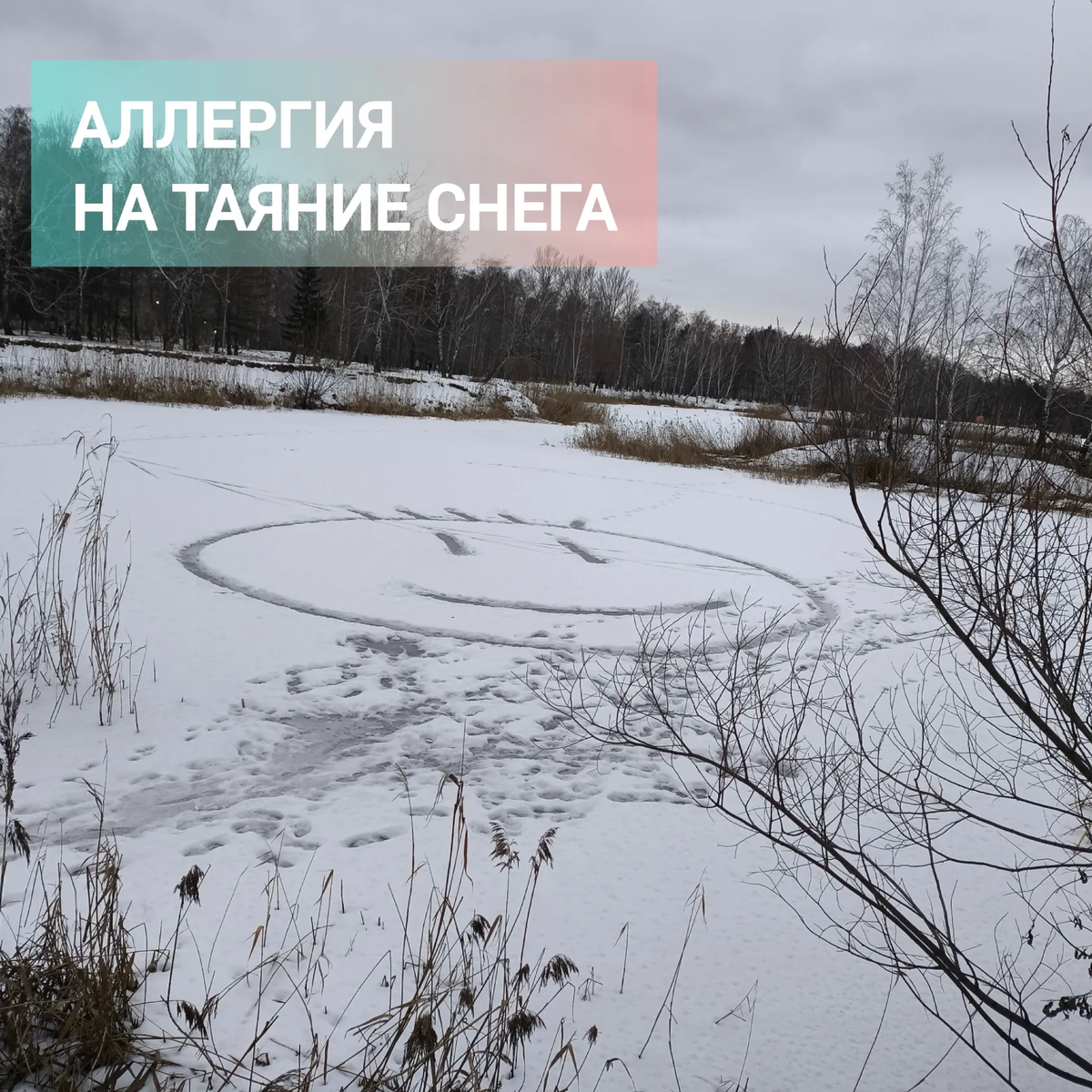 Причины аллергии на тающий снег