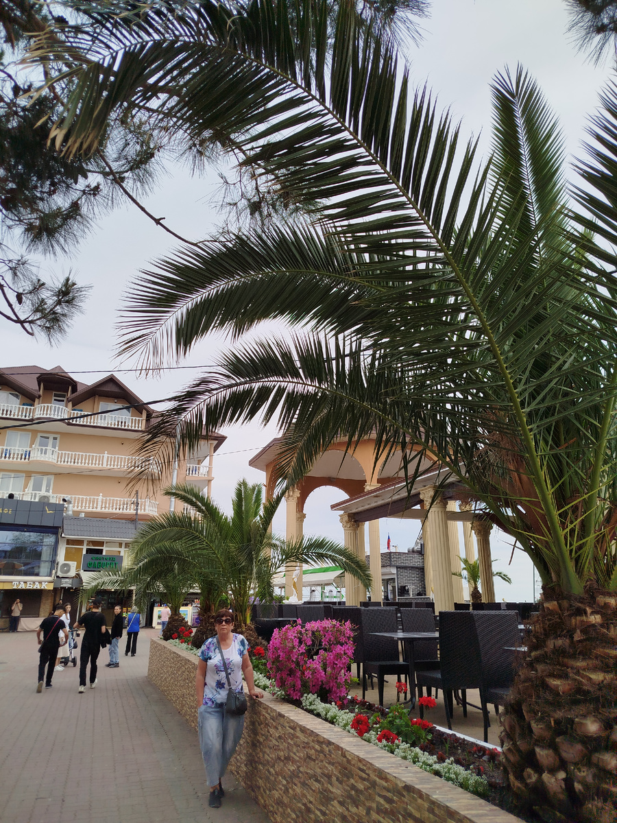 Фото автора .