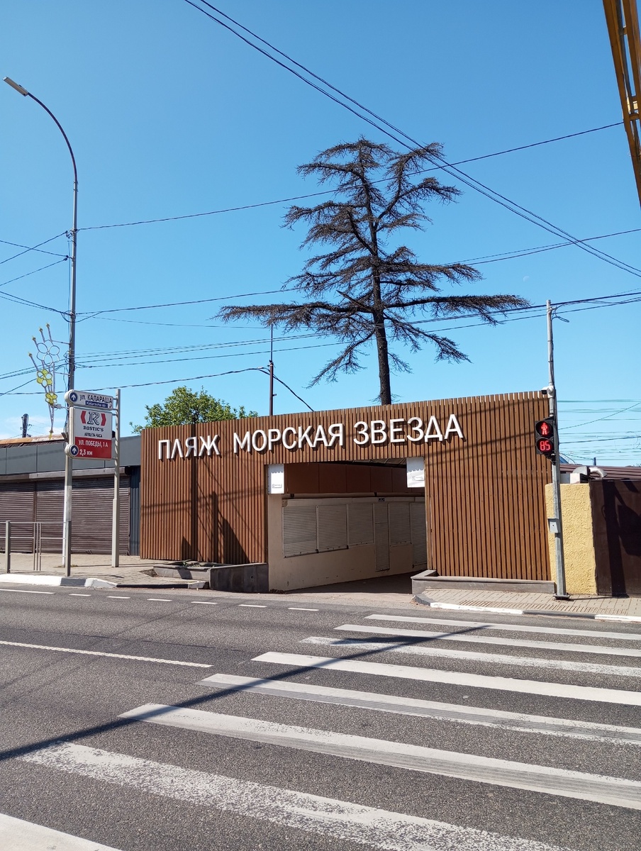 Фото автора.