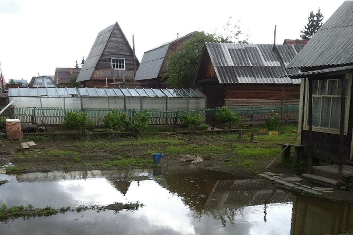    Фото: BFM-Новосибирск