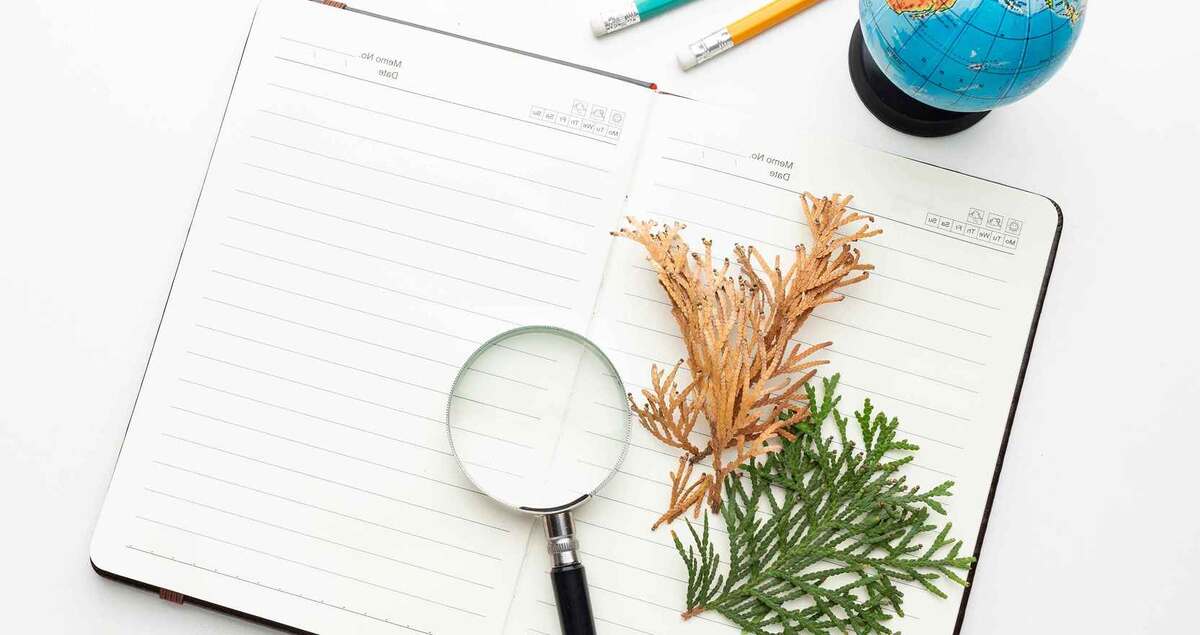 Источник фото: freepik