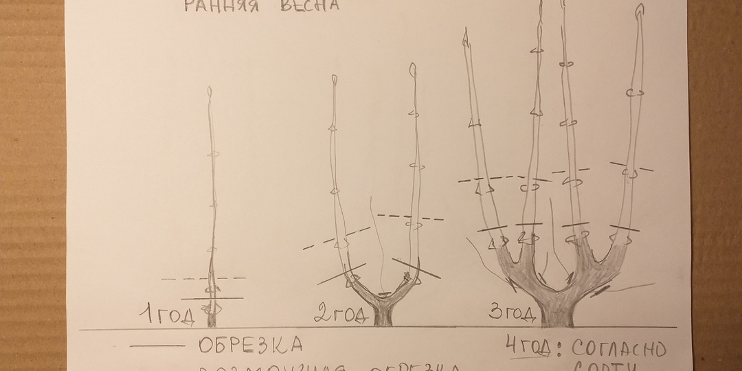 ЕЩЕ РАЗ ПРО ОБРЕЗКУ!