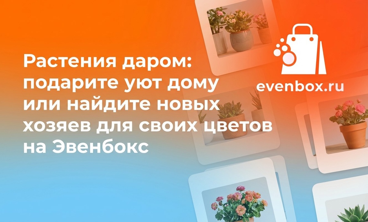 Растения даром: подарите уют дому или найдите новых хозяев для своих цветов на Эвенбокс