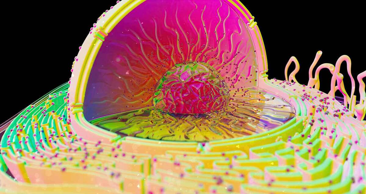 Источник фото: freepik