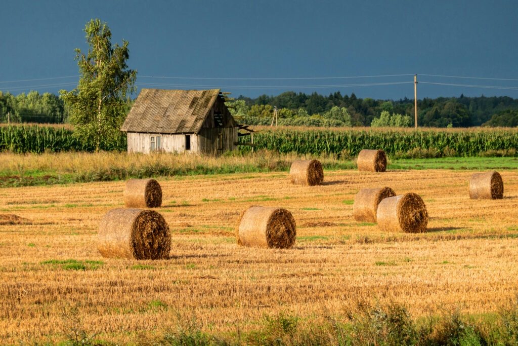    изображение от freepik