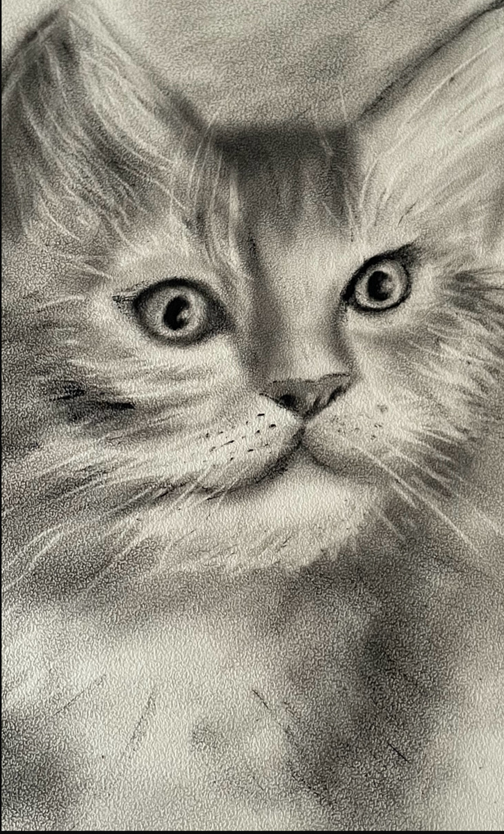 Автор Ирина Повидалова