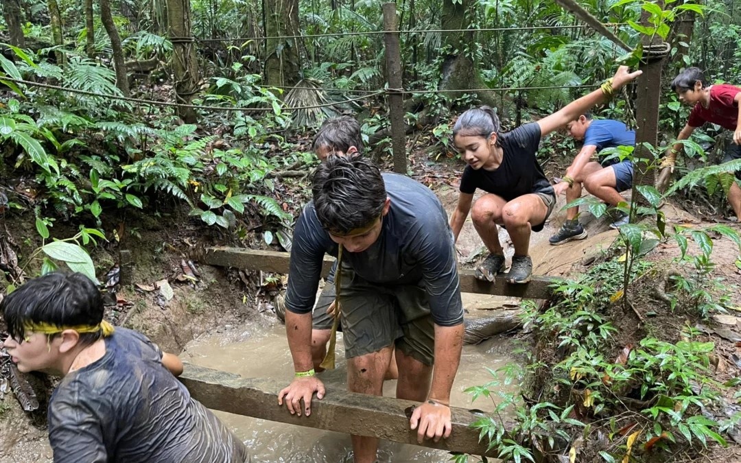 ����������� �������� ������ �������������� � �������������.