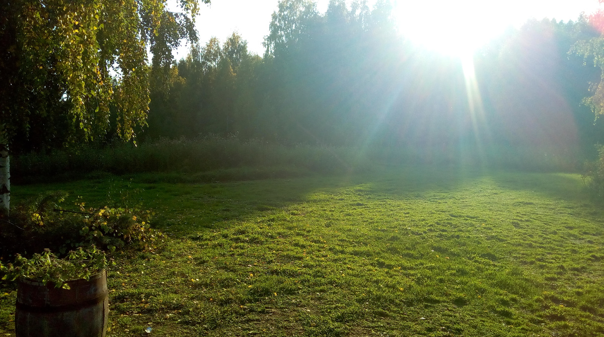 Битва с травой, которую мы проиграли