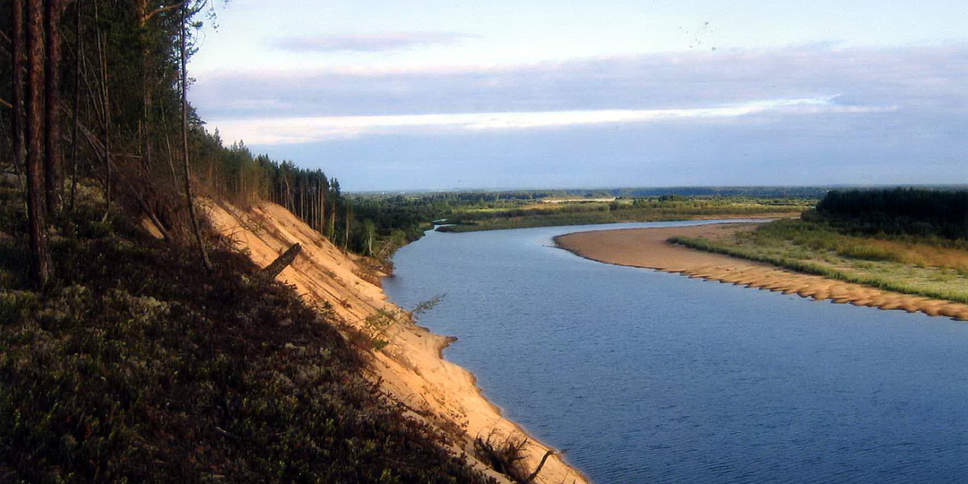 5 ошибок начинающих дачников