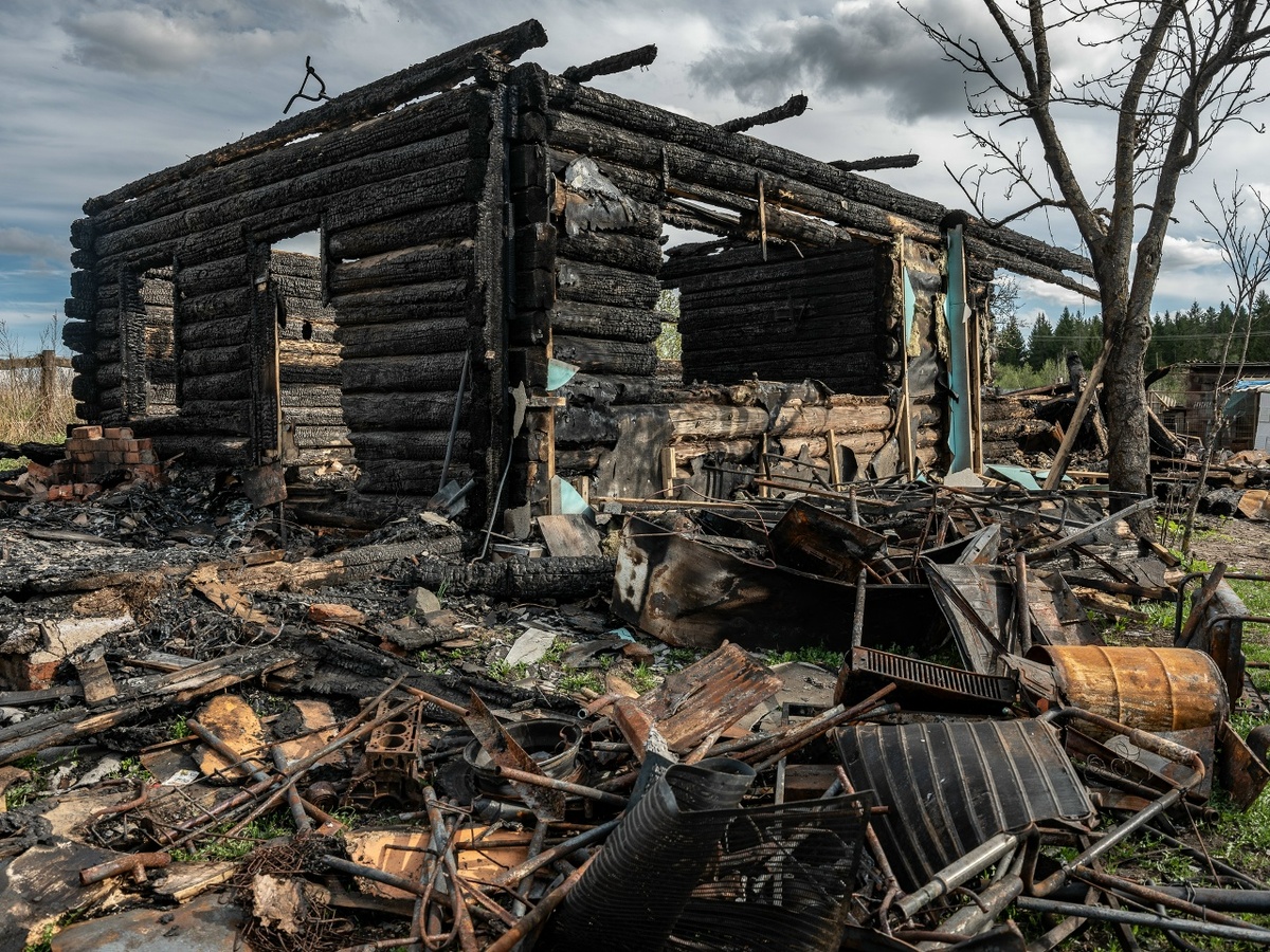    Фото: Александр Губарев Юра Белый