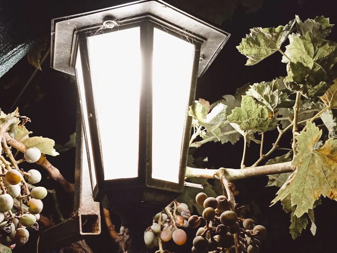 Фото из личного архива