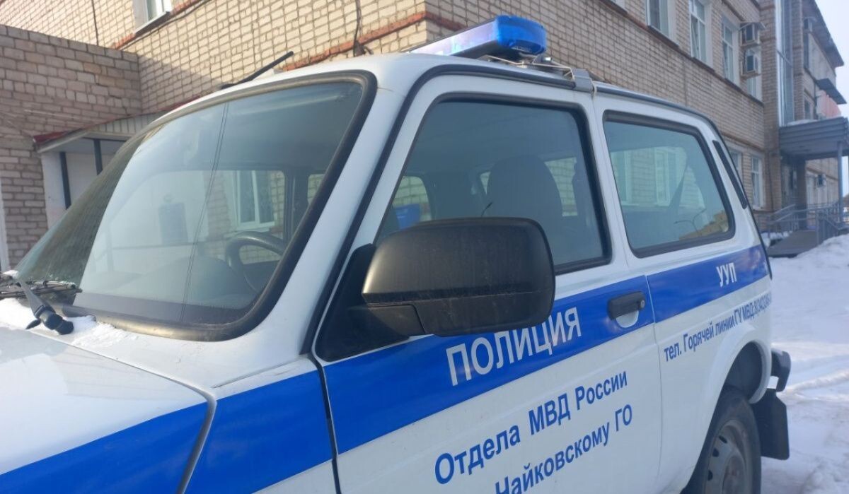     Патрульный автомобиль полиции. Источник: ОМВД по ЧГО Автор фото: Отдел МВД по ЧГО