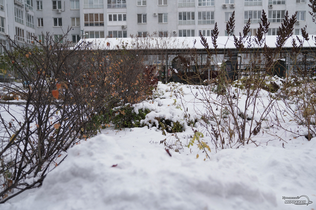    Фото: Лидия Аникина © ИА «Уральский меридиан»