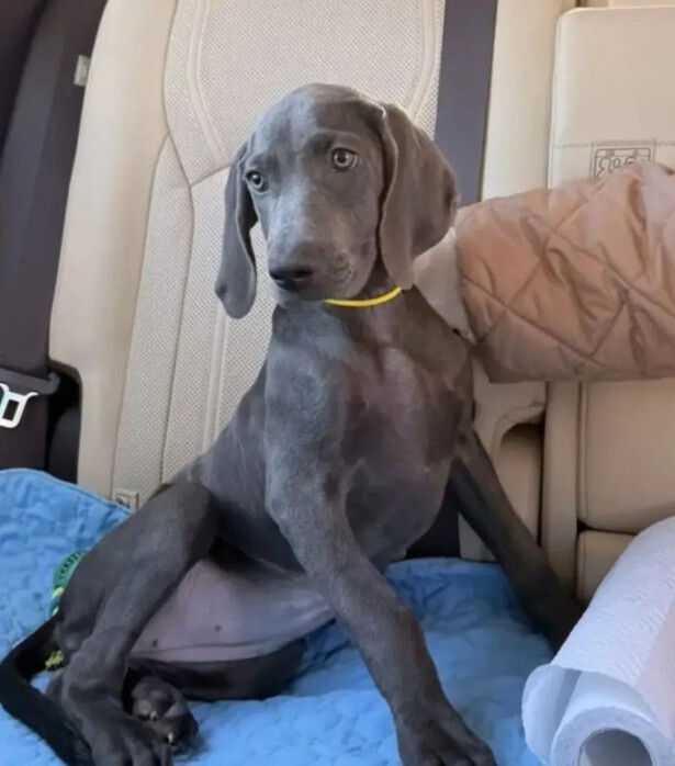    Фото: соцсети