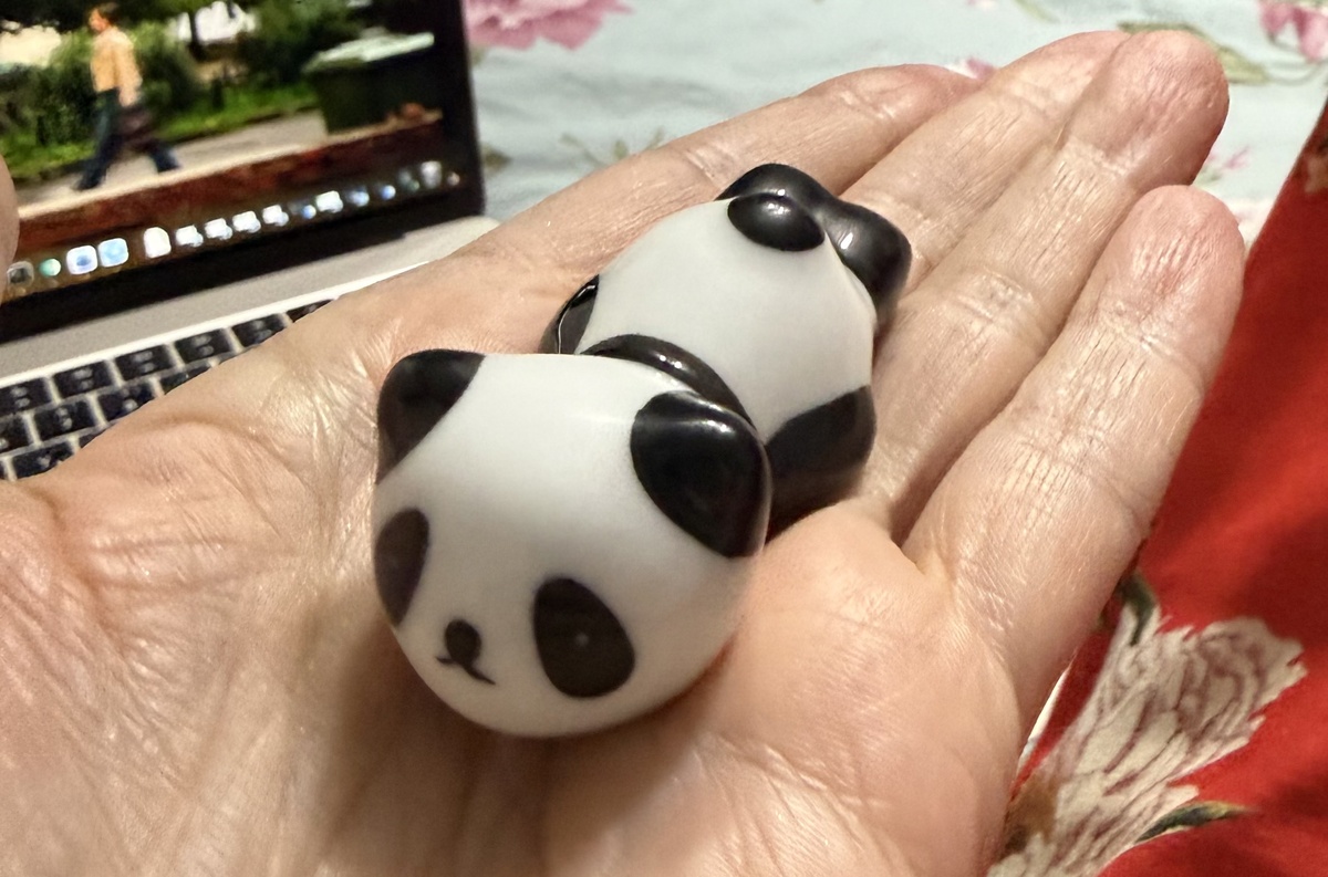 Мы не одинокие панды!