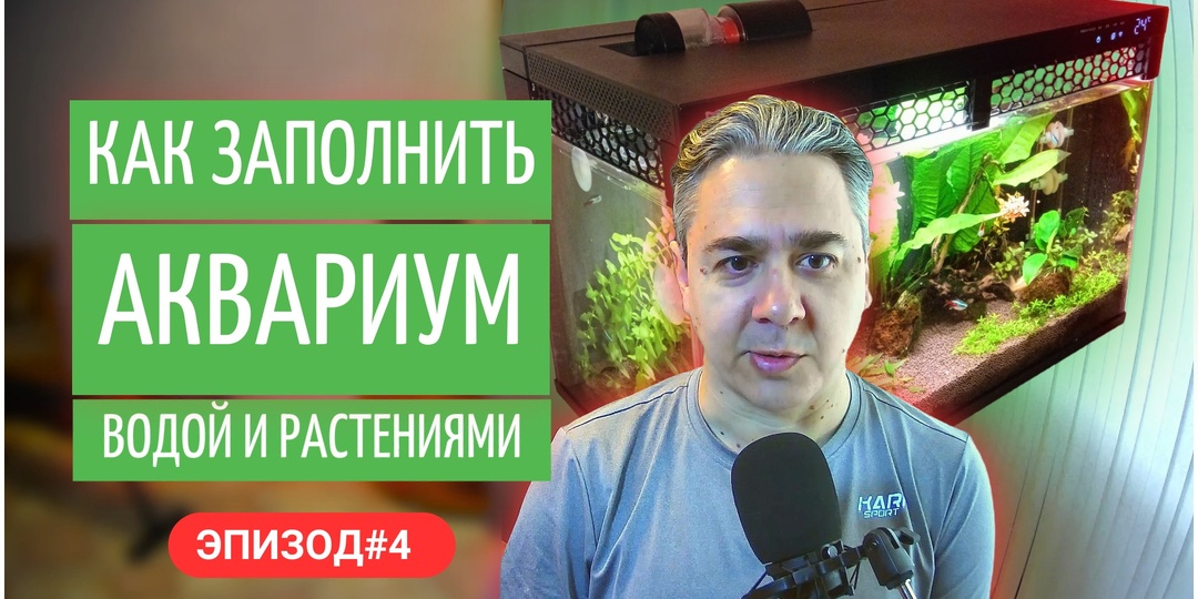 Как заполнить аквариум водой, разместить декор и растения