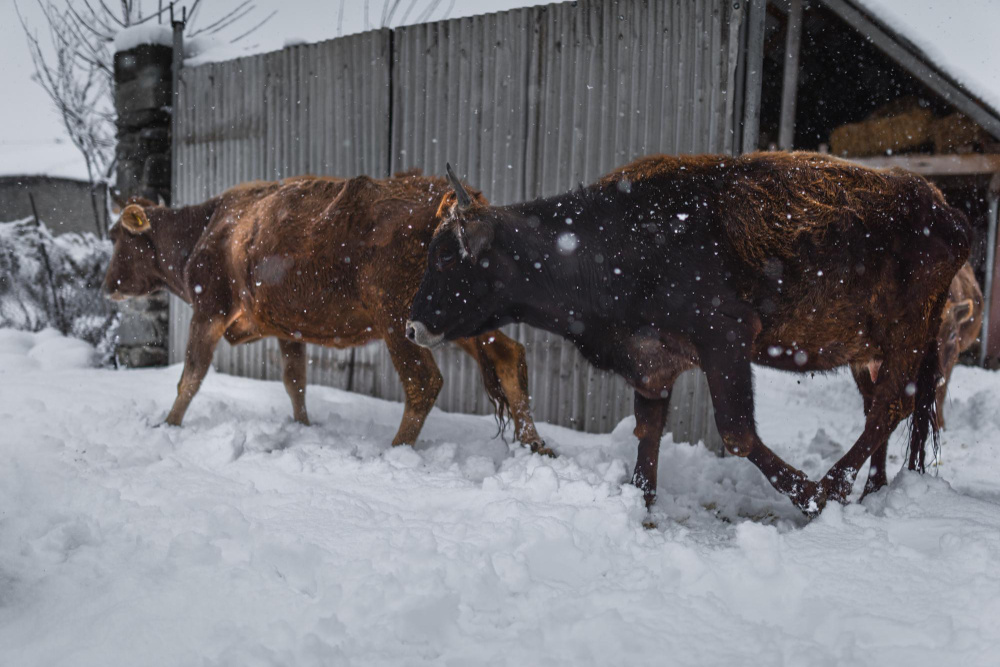 Фото: User5191952 / Freepik