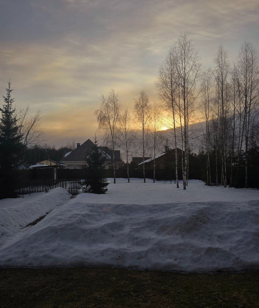 Рассвет сегодня утро над моим участком 