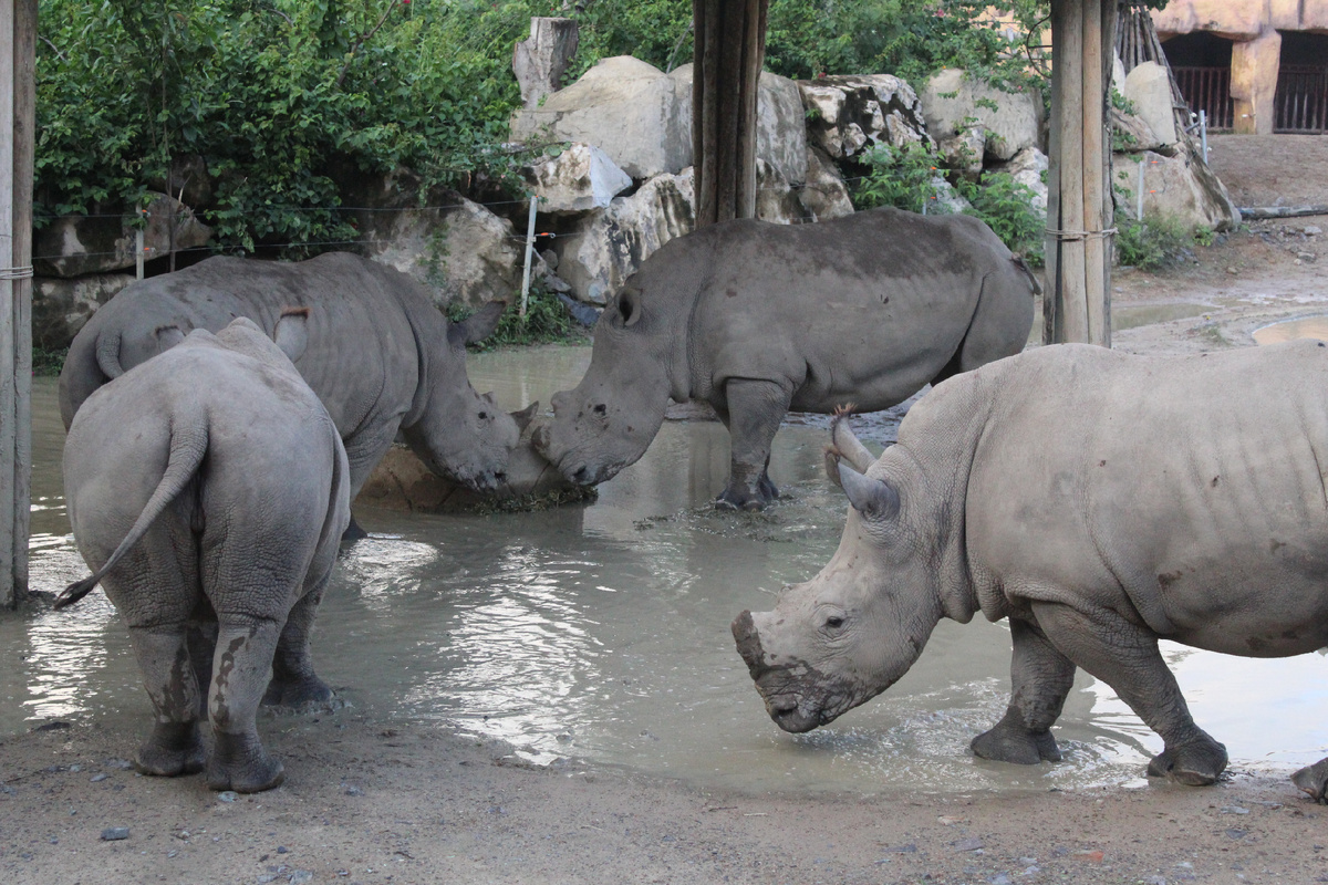 Много! Почти в упор