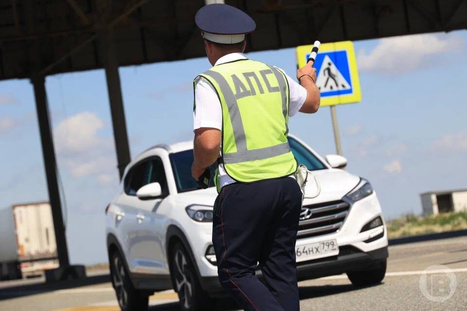    фото: Дмитрий Рогулин / "Городские вести"