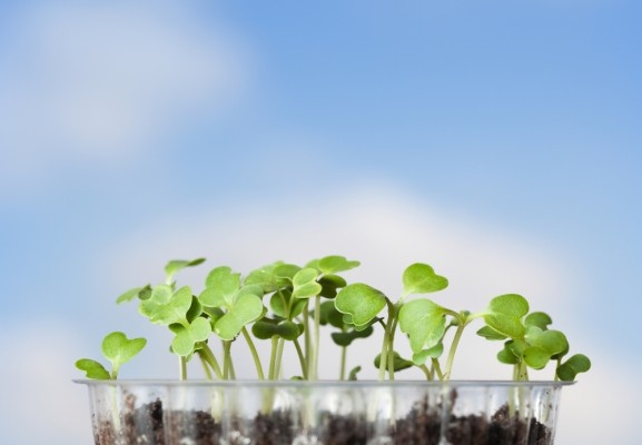 Источник фото shutterstock.com