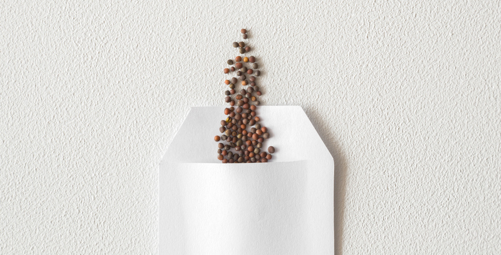 Источник фото shutterstock.com