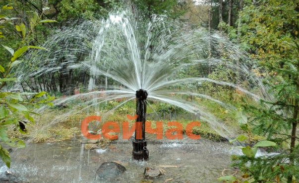    Фото: Википедия Иван Воробьев