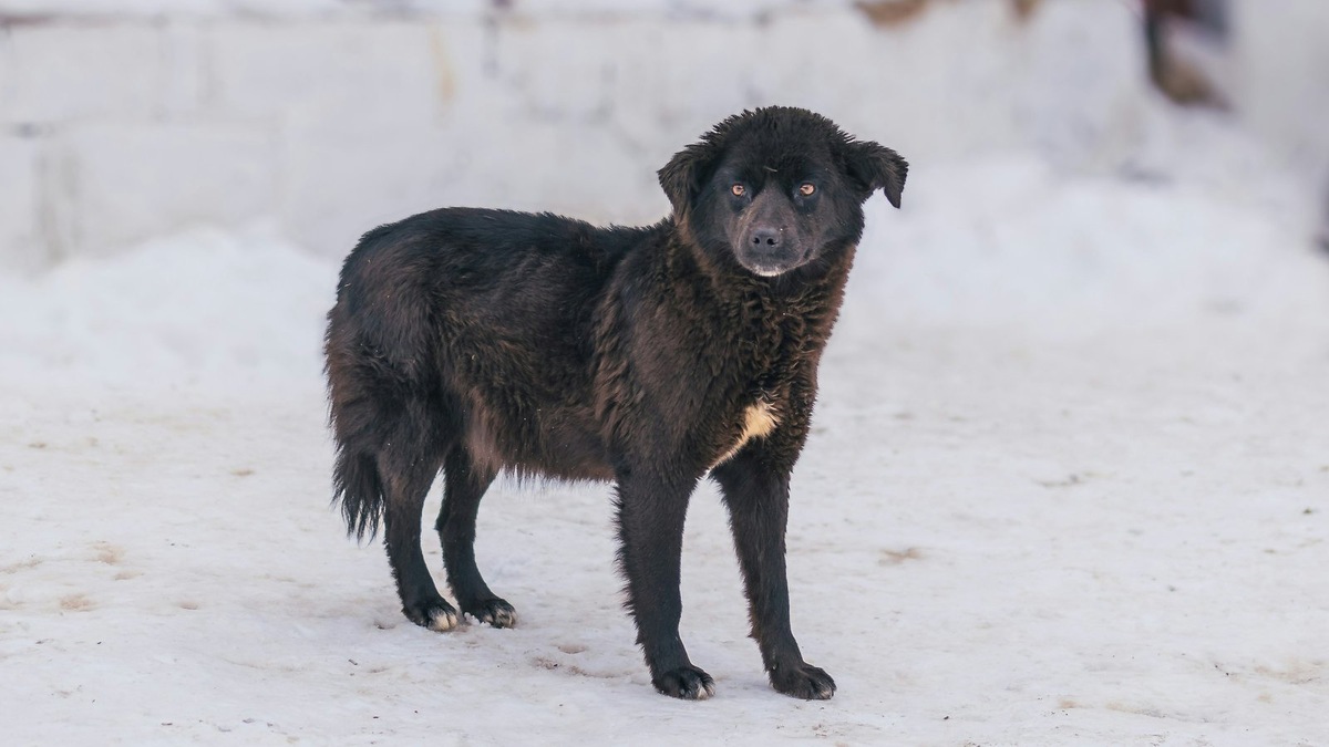    Фото несет иллюстративный характер