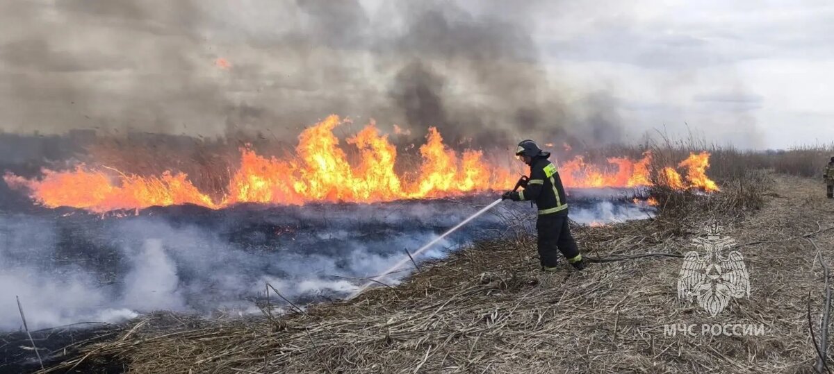    Фото: МЧС Ростовской области