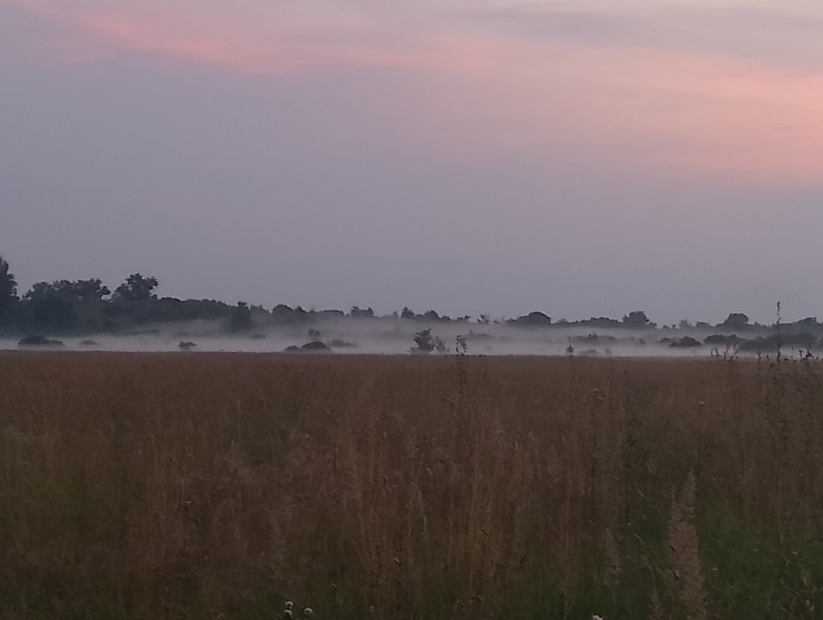 Туман идёт стеной от реки. Фото автора