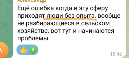 Главная ошибка новичков в чесночном бизнесе: почему "посадил и забыл" не работает?