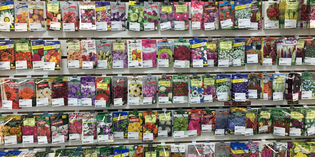 Ну вот и все