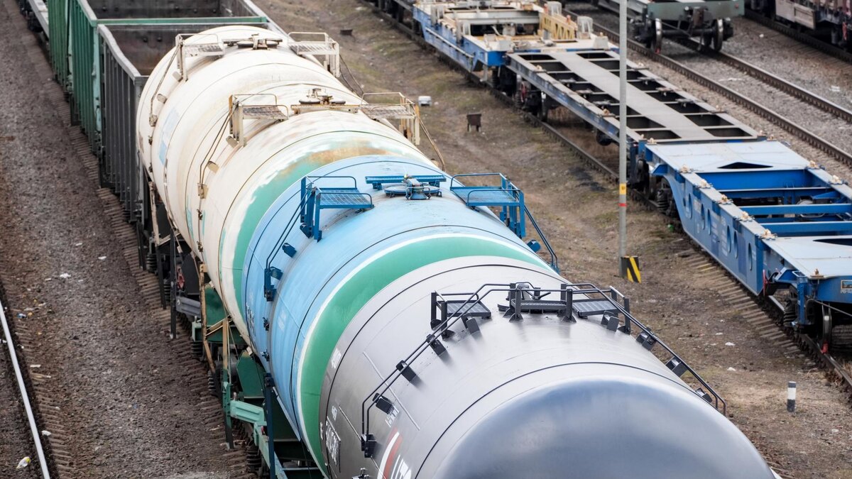 Фото: ИЗВЕСТИЯ/Сергей Лантюхов