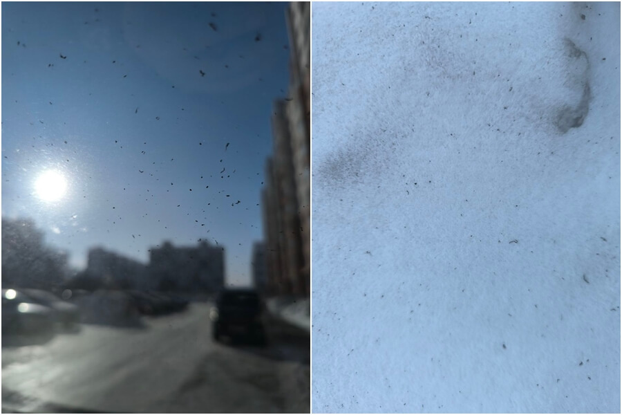    Фото: МОО «Гражданский патруль»