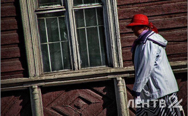    © Анастасия Илюшина / ЛенТВ24. Архивное фото