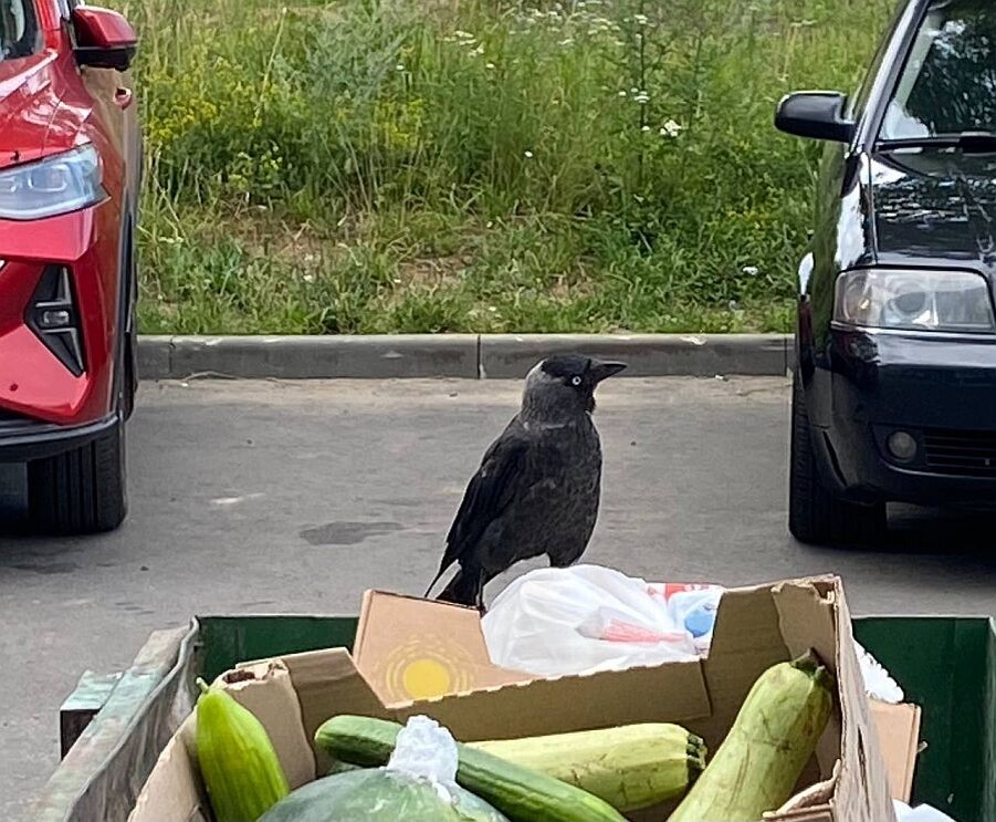    Фото: ИА “Орелград”, автор Светлана Числова