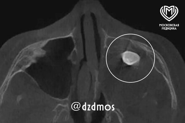 Депздрав Москвы   📷