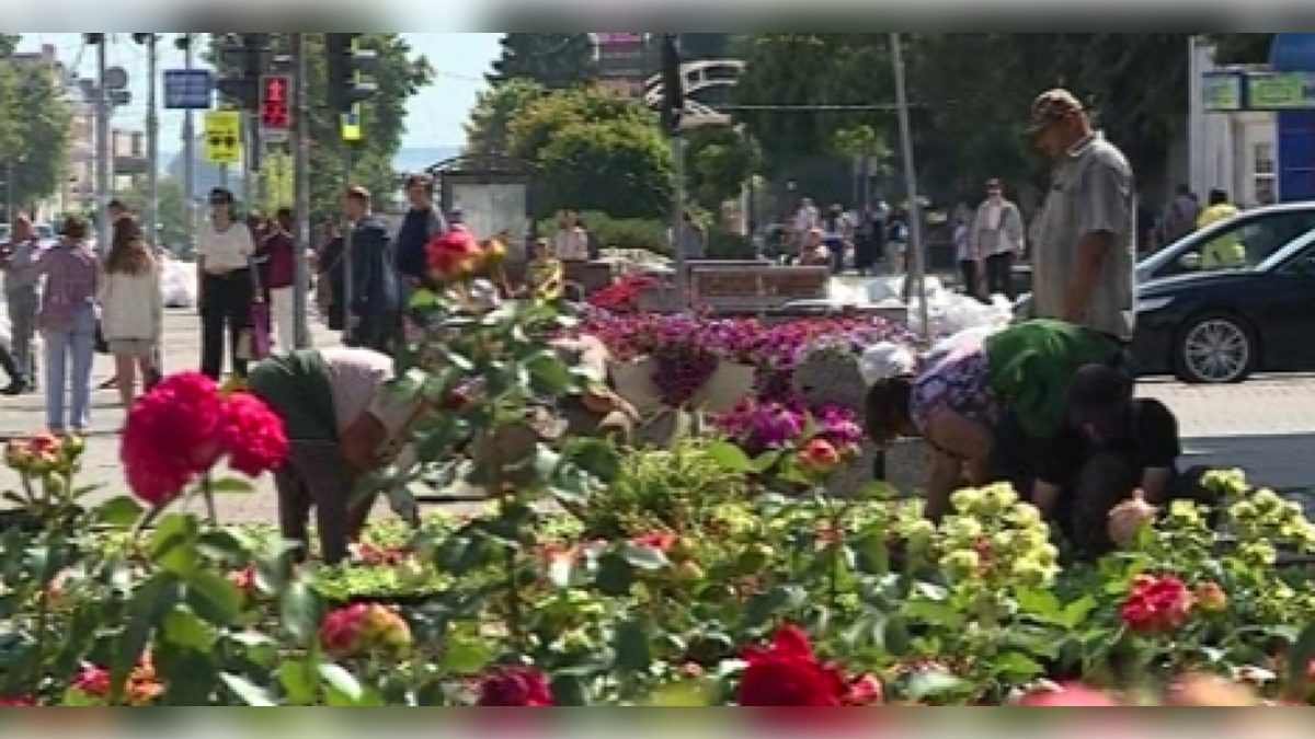    Озеленение улиц Курска и других населенных пунктов области губернатор обсудил с руководством минприроды региона