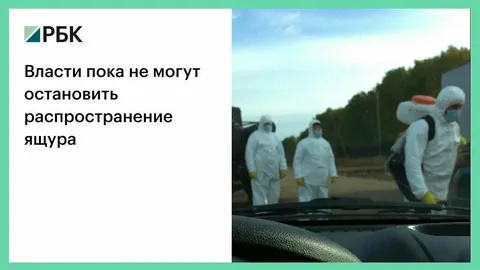 Сжигайте нас вместе с коровами: сибирские фермеры перекрывают дороги из-за тайного мopа — власти скрывают ящур, чтобы спасти экспорт в Китая
