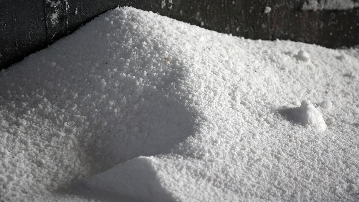 © Sputnik / Виталий Тимкив / Перейти в фотобанк