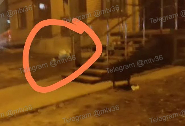     Фото: телеграм-канал «Мой и твой Воронеж»