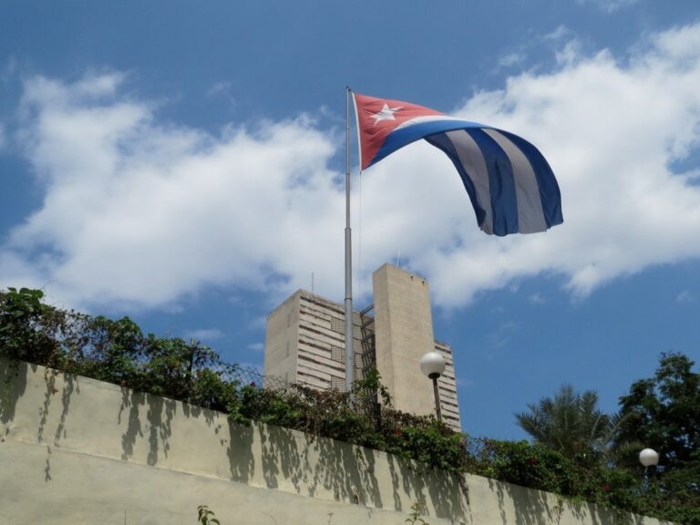    Фото: flickr.com/Sally Taylor/CC BY-NC 2.0 Виктория Самойленко