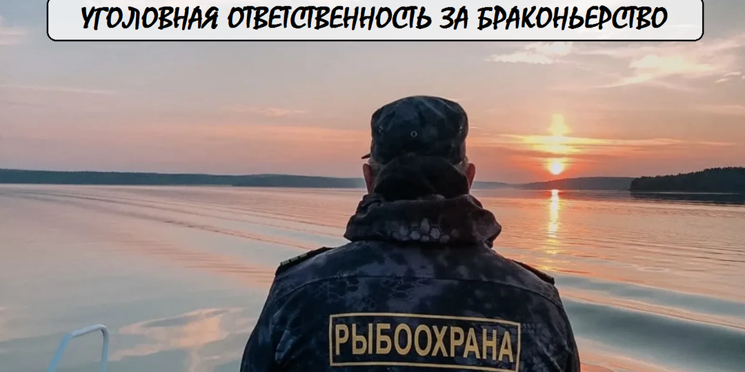 Уголовная ответственность за браконьерство в 2026 году