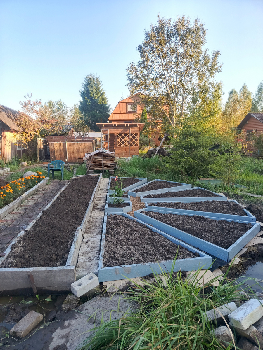 наша клумба полусолнце